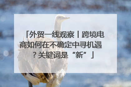 外贸一线观察丨跨境电商如何在不确定中寻机遇？关键词是“新”