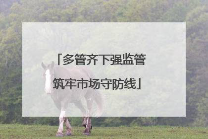 多管齐下强监管 筑牢市场守防线