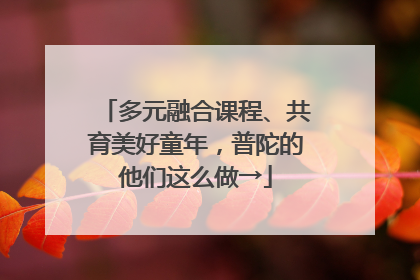 多元融合课程、共育美好童年，普陀的他们这么做→