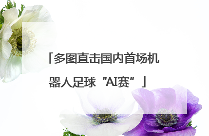多图直击国内首场机器人足球“AI赛”