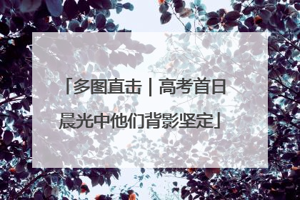 多图直击｜高考首日 晨光中他们背影坚定
