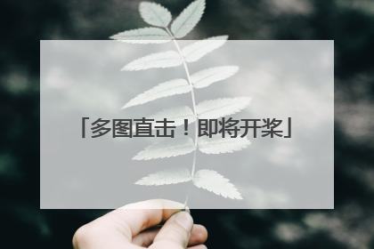 多图直击！即将开桨