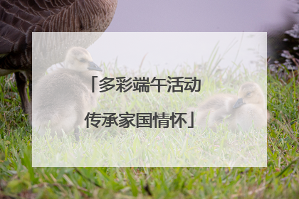 多彩端午活动 传承家国情怀
