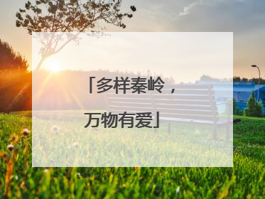 多样秦岭，万物有爱