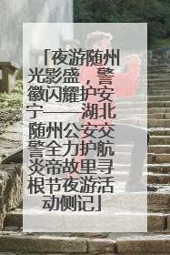 夜游随州光影盛，警徽闪耀护安宁——湖北随州公安交警全力护航炎帝故里寻根节夜游活动侧记