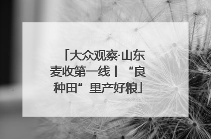 大众观察·山东麦收第一线丨“良种田”里产好粮