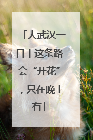 大武汉一日丨这条路会“开花”，只在晚上有