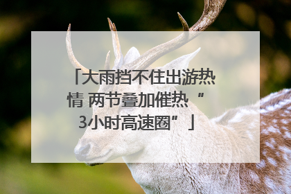 大雨挡不住出游热情 两节叠加催热“3小时高速圈”