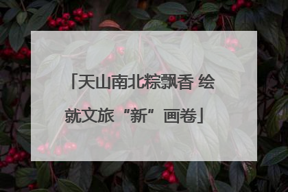 天山南北粽飘香 绘就文旅“新”画卷