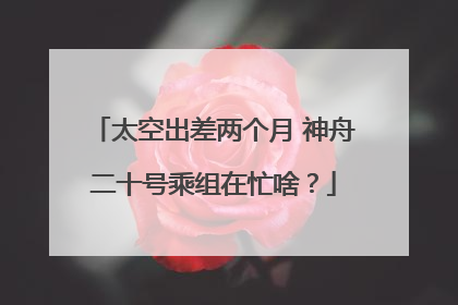 太空出差两个月 神舟二十号乘组在忙啥？