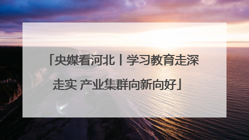 央媒看河北丨学习教育走深走实 产业集群向新向好