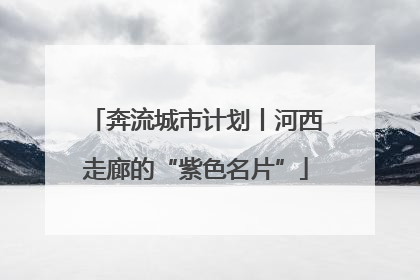 奔流城市计划丨河西走廊的“紫色名片”