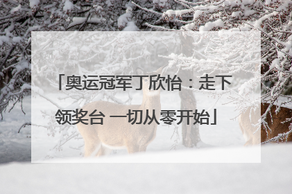 奥运冠军丁欣怡：走下领奖台 一切从零开始