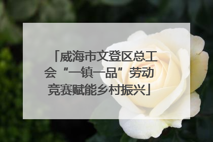 威海市文登区总工会“一镇一品”劳动竞赛赋能乡村振兴