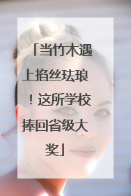 当竹木遇上掐丝珐琅！这所学校捧回省级大奖