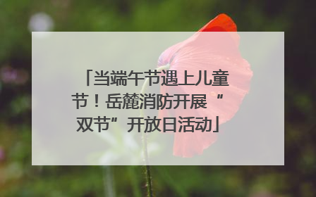 当端午节遇上儿童节！岳麓消防开展“双节”开放日活动