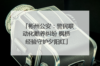 彬州公安：警民联动化赡养纠纷 枫桥经验守护夕阳红