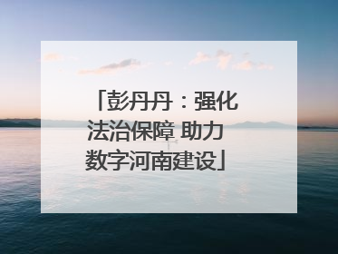 彭丹丹：强化法治保障 助力数字河南建设