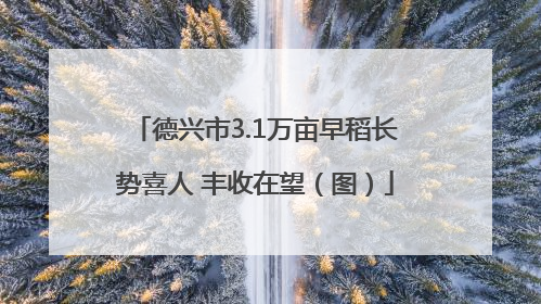 德兴市3.1万亩早稻长势喜人 丰收在望（图）