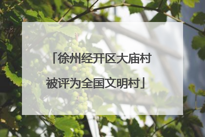 徐州经开区大庙村被评为全国文明村