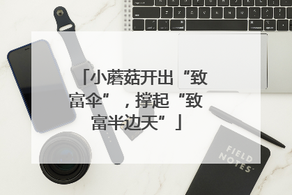 小蘑菇开出“致富伞”，撑起“致富半边天”