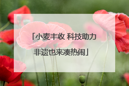 小麦丰收 科技助力 非遗也来凑热闹
