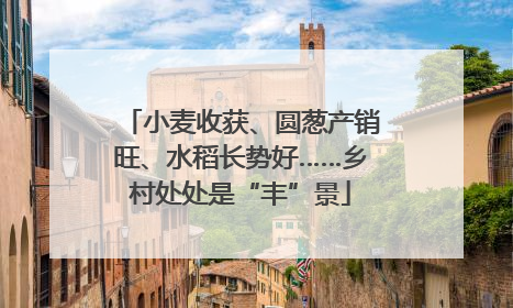 小麦收获、圆葱产销旺、水稻长势好……乡村处处是“丰”景
