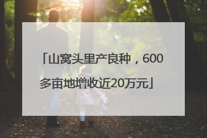 山窝头里产良种，600多亩地增收近20万元