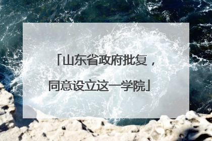 山东省政府批复，同意设立这一学院