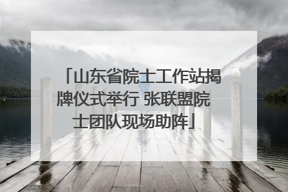 山东省院士工作站揭牌仪式举行 张联盟院士团队现场助阵