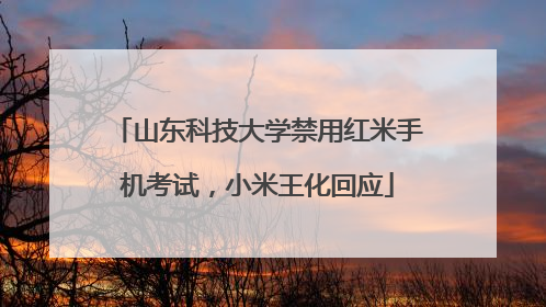 山东科技大学禁用红米手机考试，小米王化回应