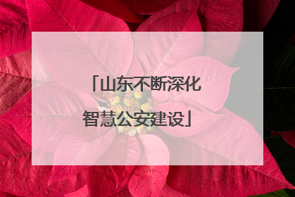山东不断深化智慧公安建设