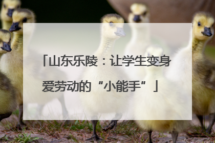 山东乐陵：让学生变身爱劳动的“小能手”