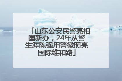 山东公安民警亮相国新办，24年从警生涯陈强用警徽照亮国际维和路