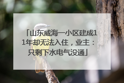 山东威海一小区建成11年却无法入住，业主：只剩下水电气没通