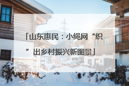 山东惠民：小绳网“织”出乡村振兴新图景