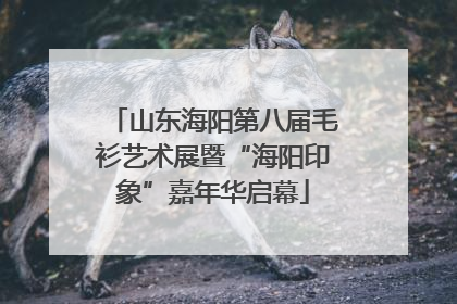 山东海阳第八届毛衫艺术展暨“海阳印象”嘉年华启幕
