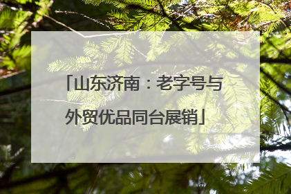 山东济南：老字号与外贸优品同台展销
