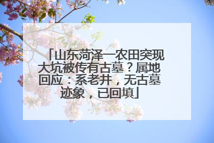 山东菏泽一农田突现大坑被传有古墓？属地回应：系老井，无古墓迹象，已回填