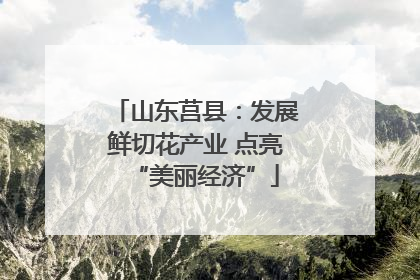 山东莒县：发展鲜切花产业 点亮“美丽经济”
