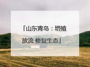 山东青岛：增殖放流 修复生态