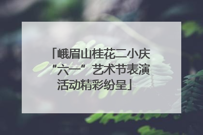 峨眉山桂花二小庆“六一”艺术节表演活动精彩纷呈