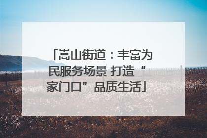 嵩山街道：丰富为民服务场景 打造“家门口”品质生活