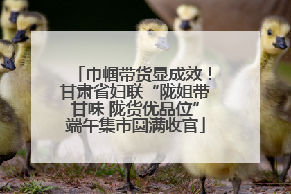 巾帼带货显成效！甘肃省妇联“陇姐带甘味 陇货优品位”端午集市圆满收官