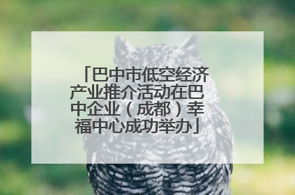 巴中市低空经济产业推介活动在巴中企业（成都）幸福中心成功举办