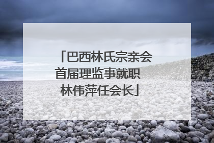 巴西林氏宗亲会首届理监事就职 林伟萍任会长