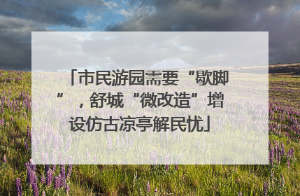 市民游园需要“歇脚”，舒城“微改造”增设仿古凉亭解民忧