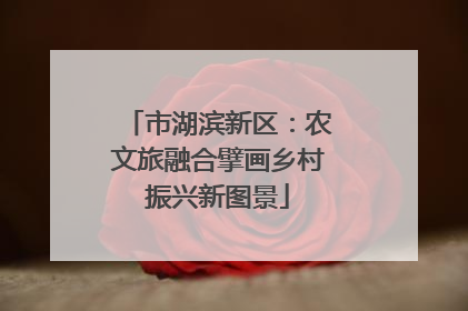 市湖滨新区：农文旅融合擘画乡村振兴新图景