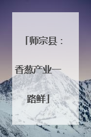 师宗县：香葱产业一路鲜