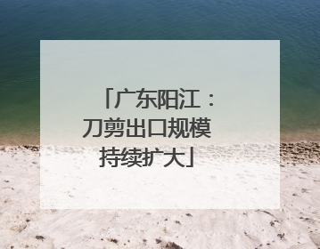 广东阳江：刀剪出口规模持续扩大
